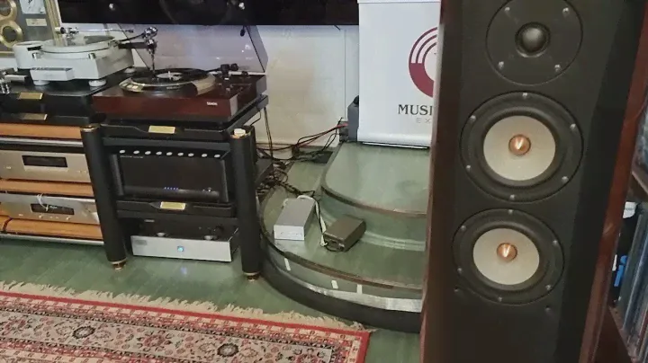 NO RULES !! JUST MUSIC IN PHENOMENAL SOUND ! PHONO CONECTION ! HA-1000 MC output to Accuphase C37 MC