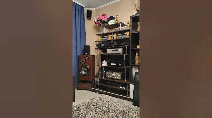 Межблочный кабель RCA SKW Highend + CD плейер DENON DCD-3500RG ***