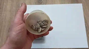 палладий из серебра контактов МКС