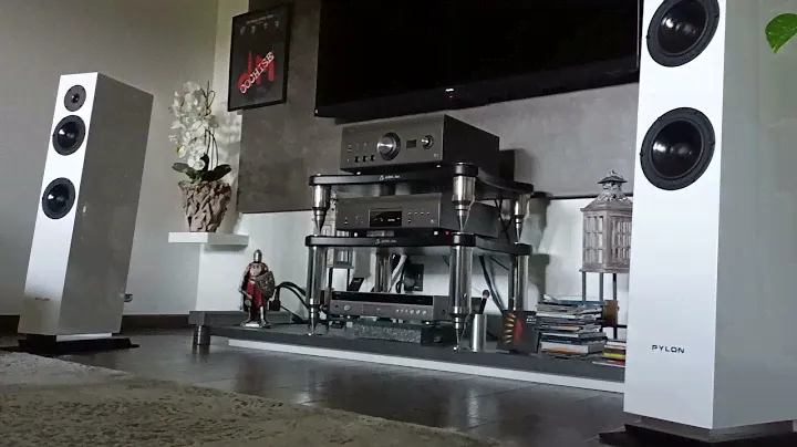 Pylon Diamond 25 / Denon 110 Anniversary - Dire Straits