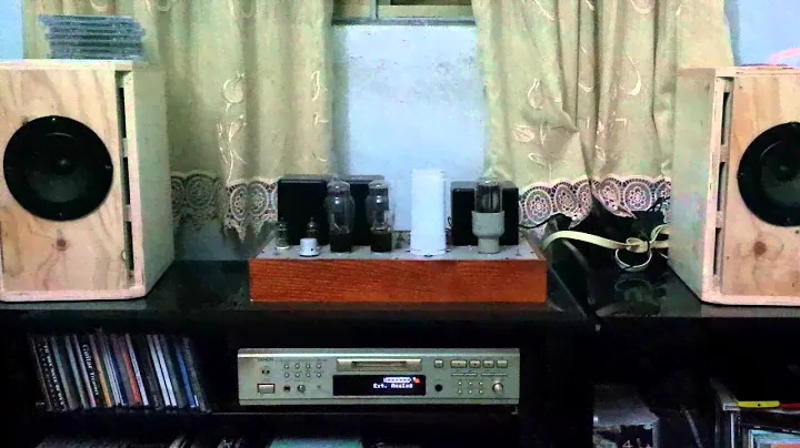Denon DMD 1550 + MiniOnken + SE 6B4G